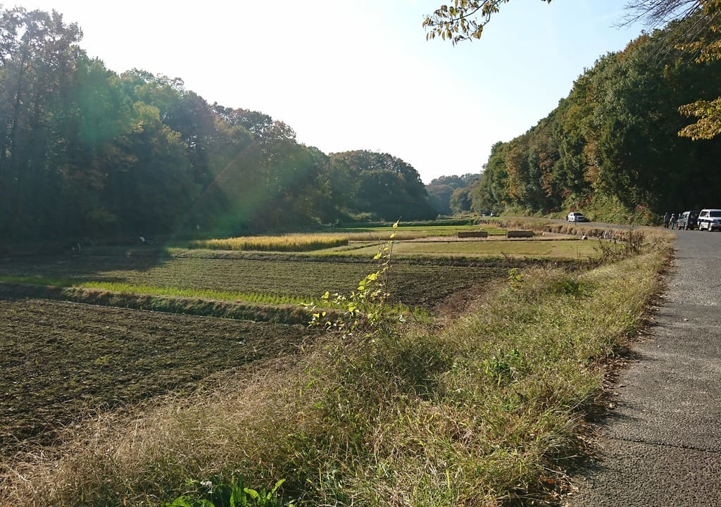 里山風景