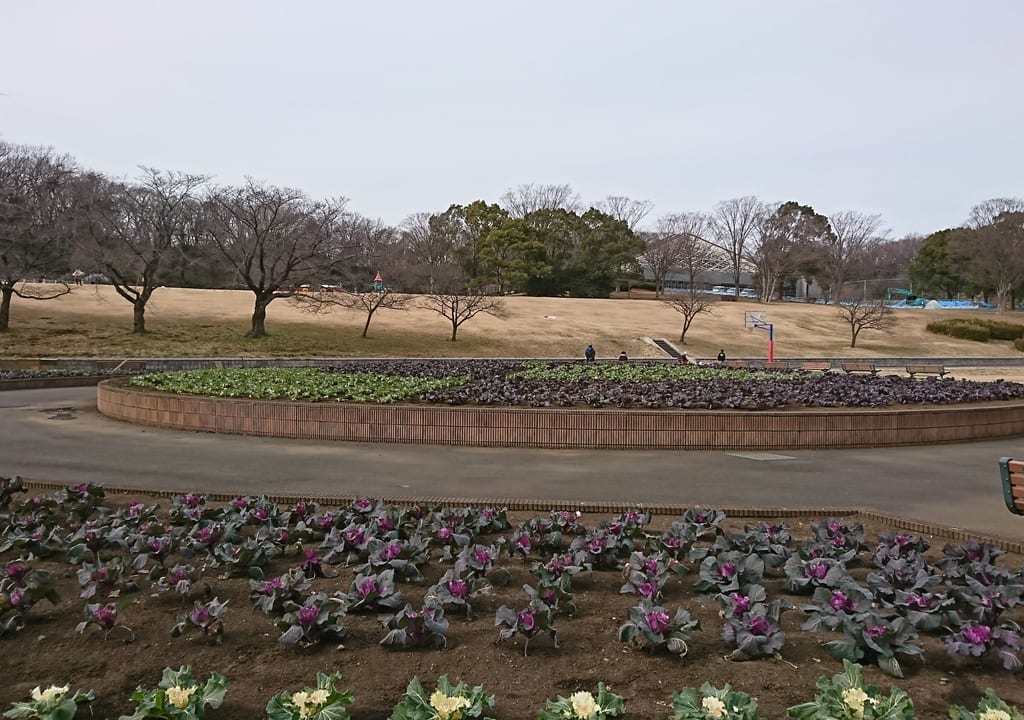 こどもの国