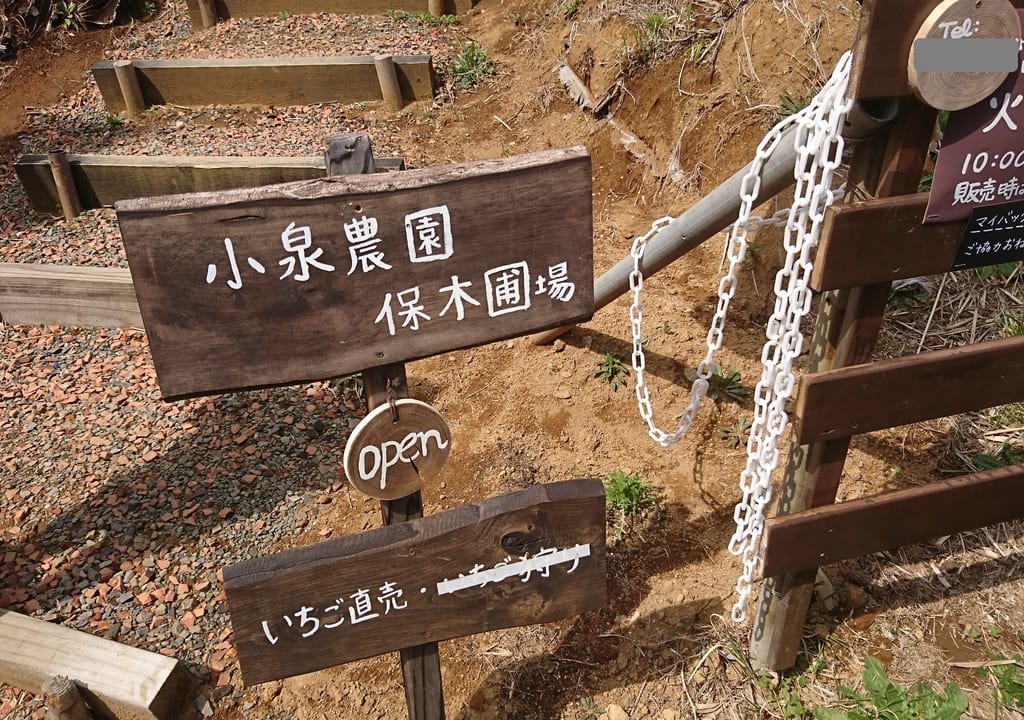 小泉農園