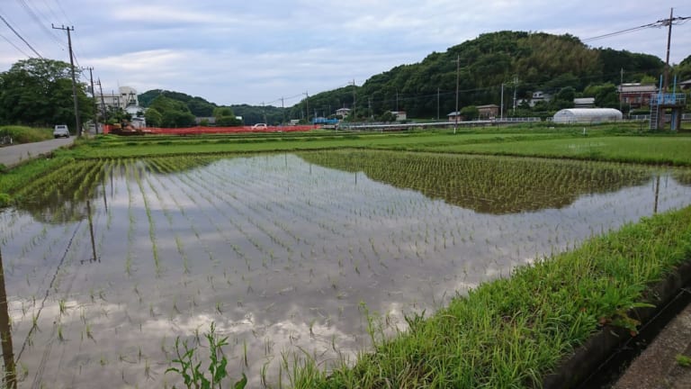 寺家ふるさと村