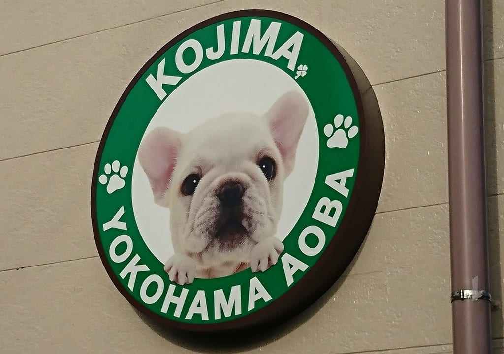 ペットショップコジマ横浜青葉店