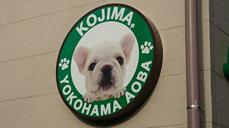 ペットショップコジマ横浜青葉店