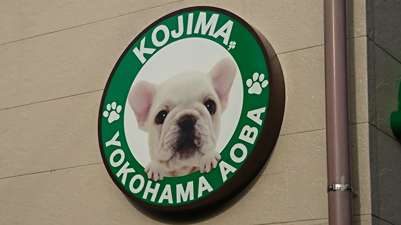 横浜市青葉区 江田駅前ペットショップ 7 31オープン予定です かなり広いかも トリミング予約も 号外net 横浜市緑区 青葉区