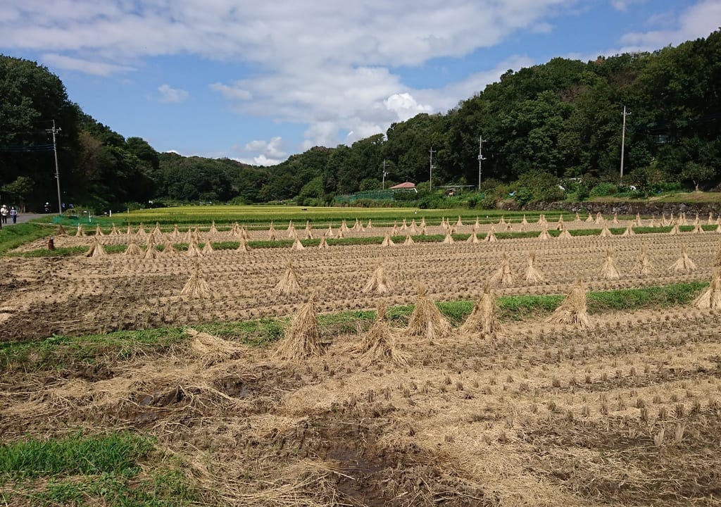 寺家ふるさと村