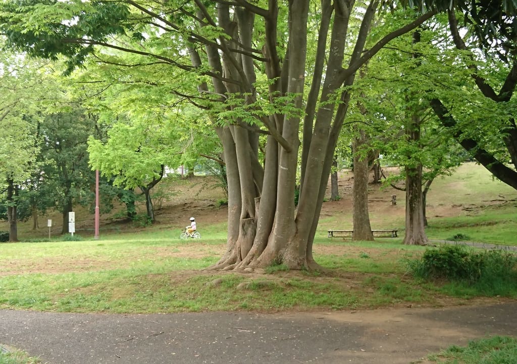 あざみ野四丁目北公園