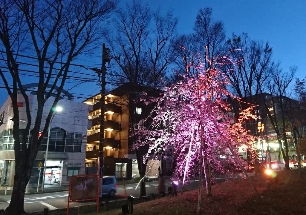 美しが丘公園