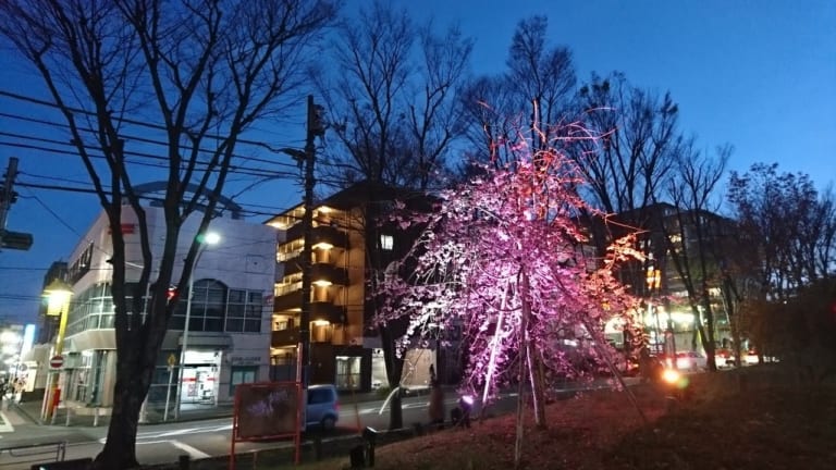 美しが丘公園