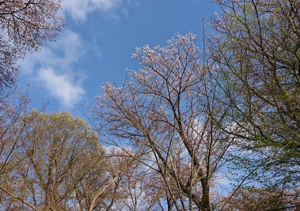 美しが丘第七公園