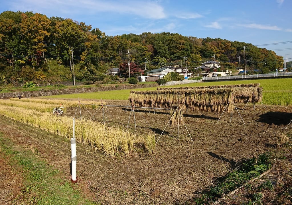 寺家ふるさと村