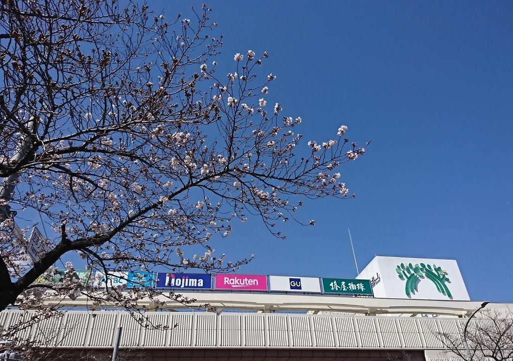 SAKURA