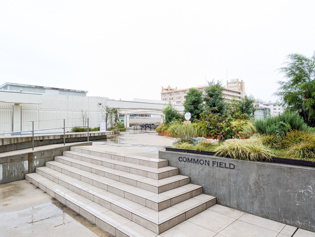 東急百貨店コモンフィールド