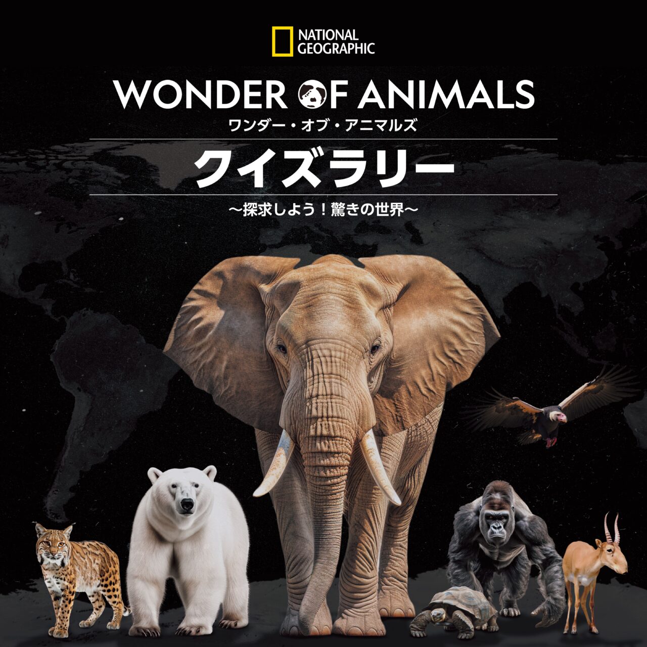 WONDER OF ANIMALSクイズラリー