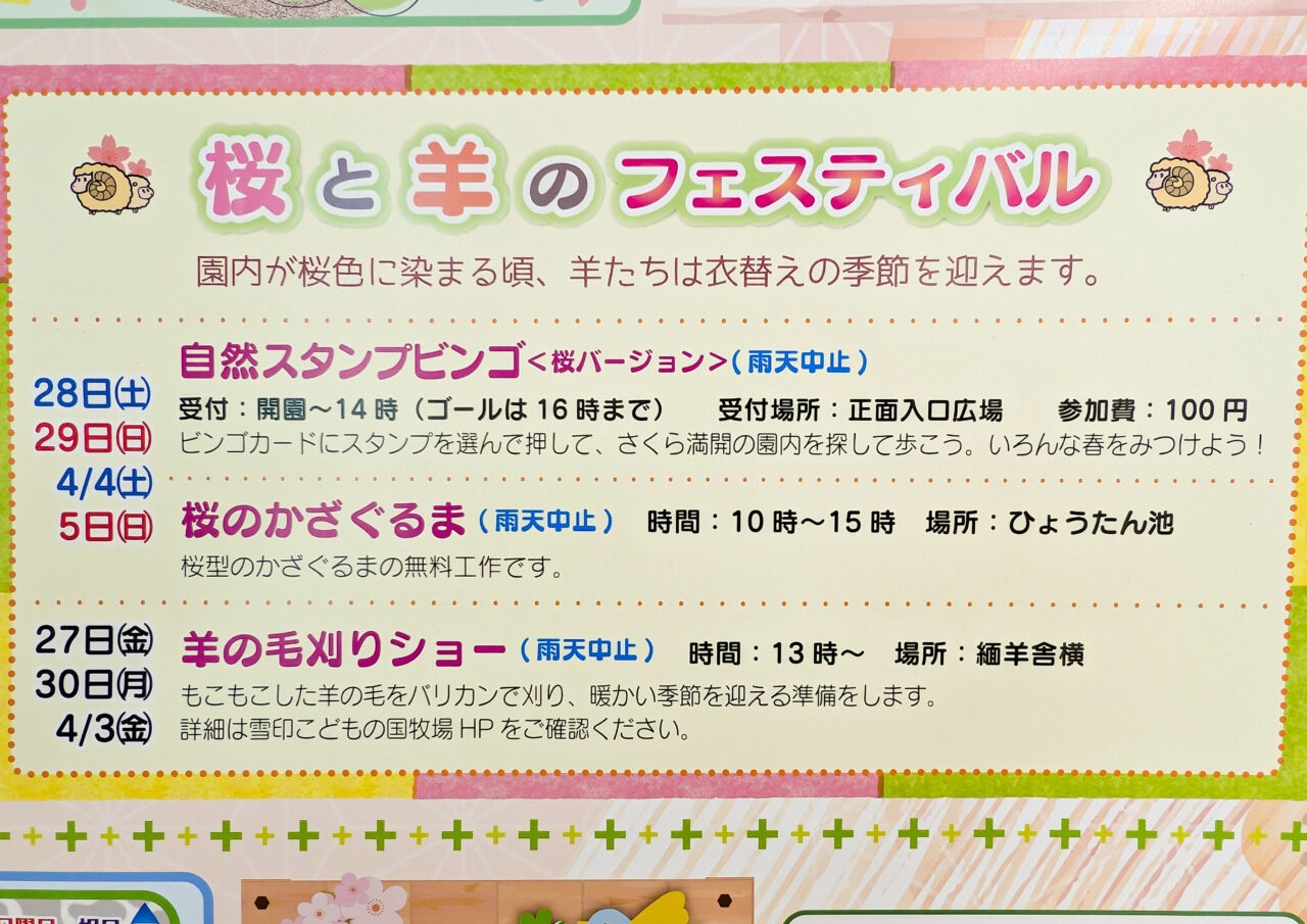 桜と羊のフェスティバル2026