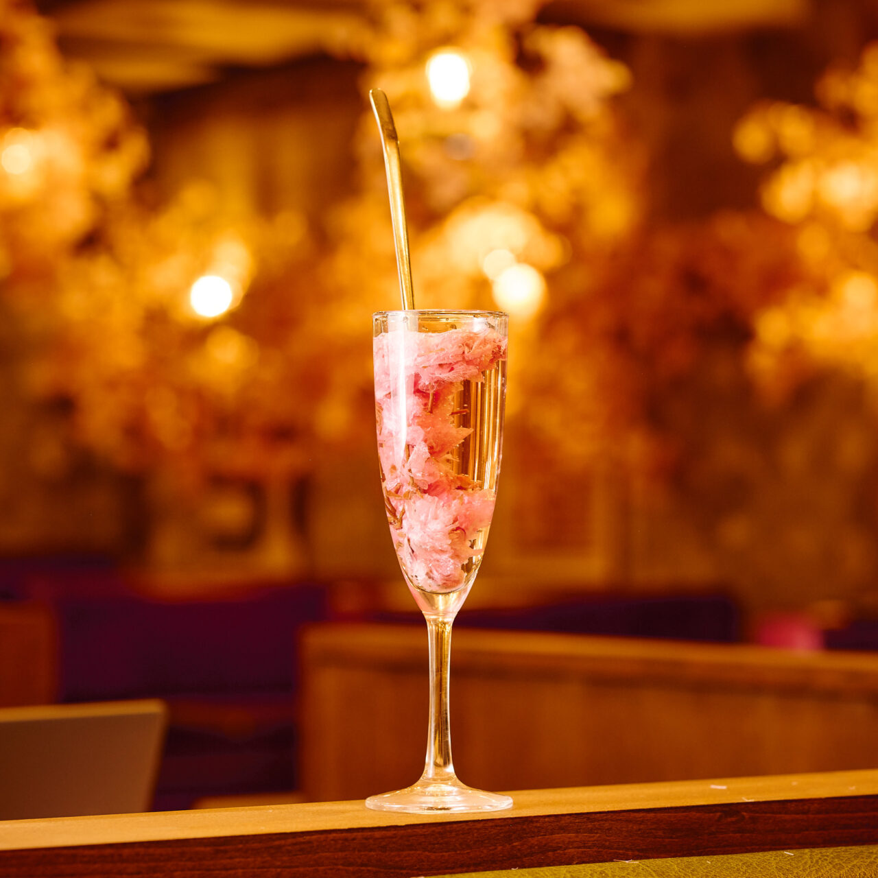 『CONA』の『お花見バル-2026-』