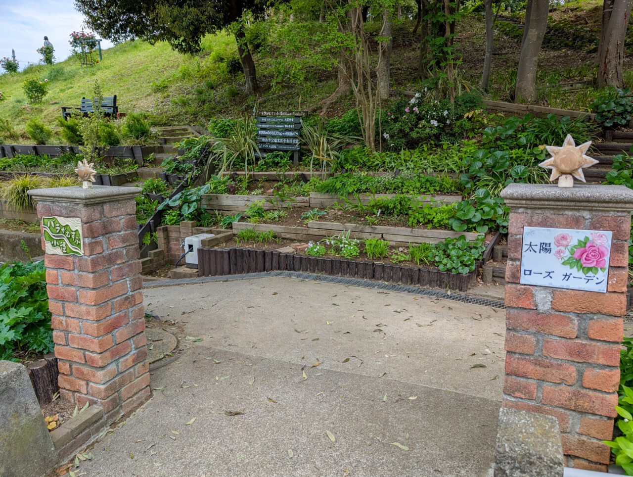 荏子田太陽公園のバラ