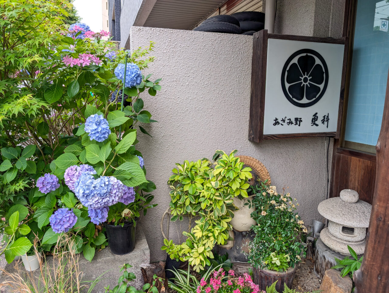あざみ野「更科」