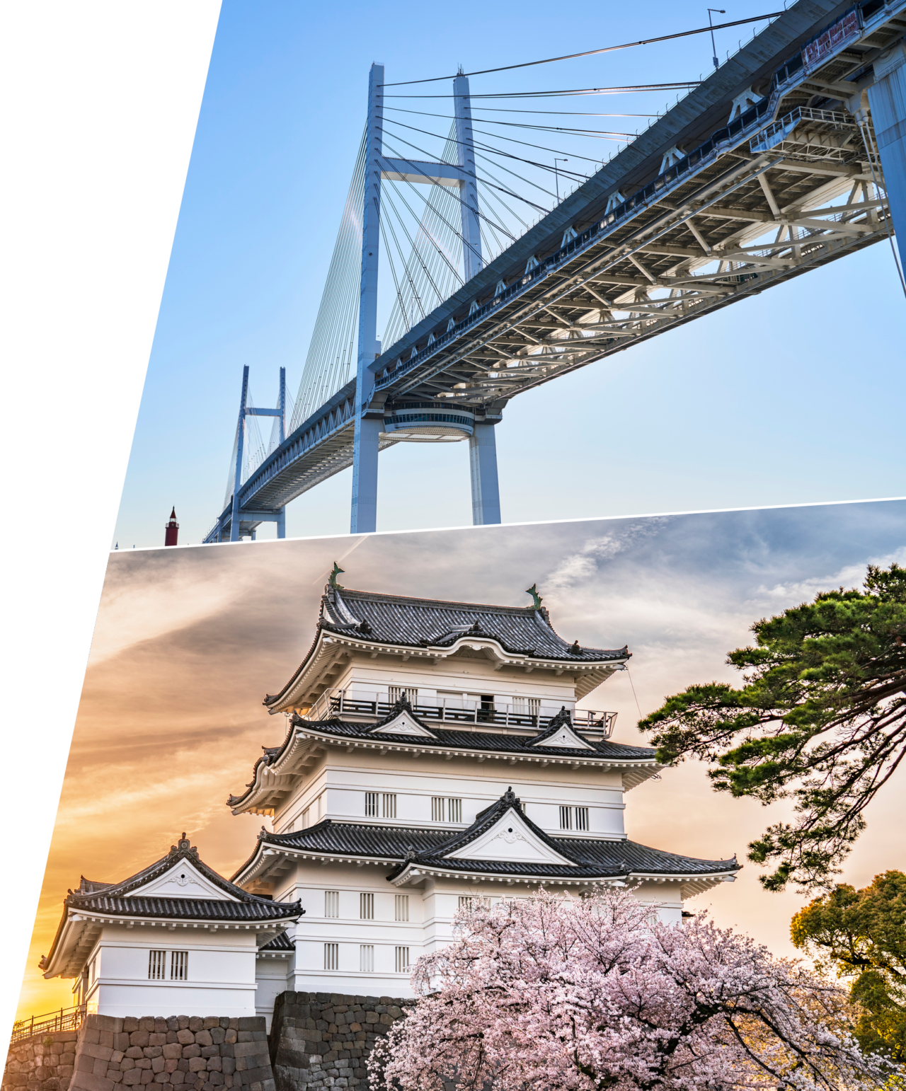 神奈川マイスター検定